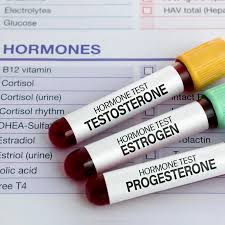 Hormone Testing